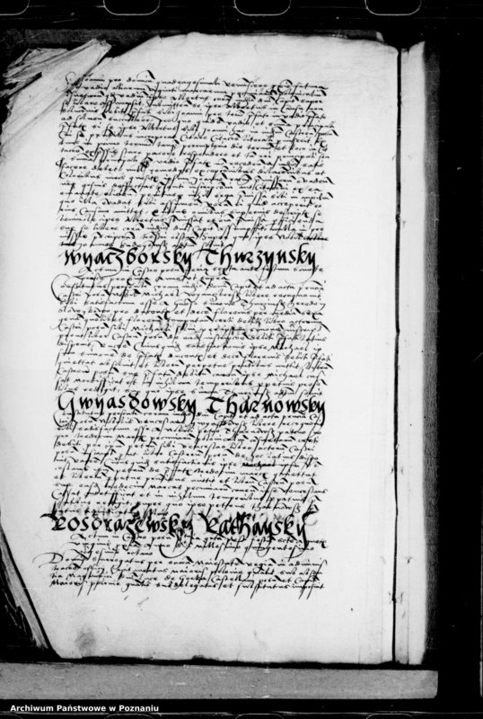 Obraz 20 z jednostki "Inscriptiones, relationes, decreta [inducta]"