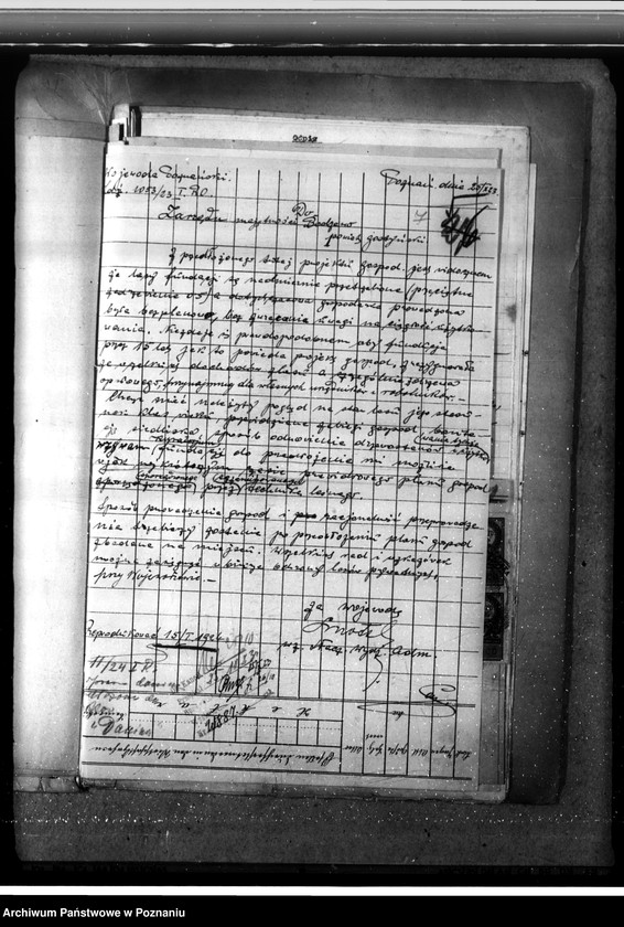 Obraz 11 z jednostki "Las fundacyjny Bodzewo w powiecie gostyńskim"