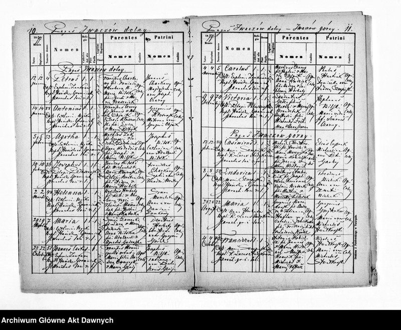 image.from.unit.number "Parafia: Płotycz. Dekanat: Tarnopol. Kopie z ksiąg metrykalnych ur., śl., zg. dla całej parafii (Płotycz i pozostałe wsie)."