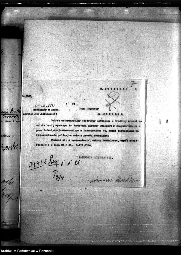 Obraz 11 z jednostki "Nosacizna - Działdowo"