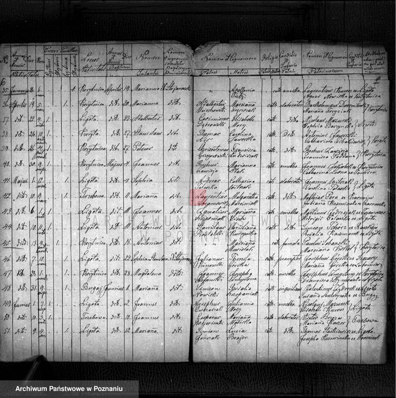 image.from.unit.number "Liber baptisatorum"