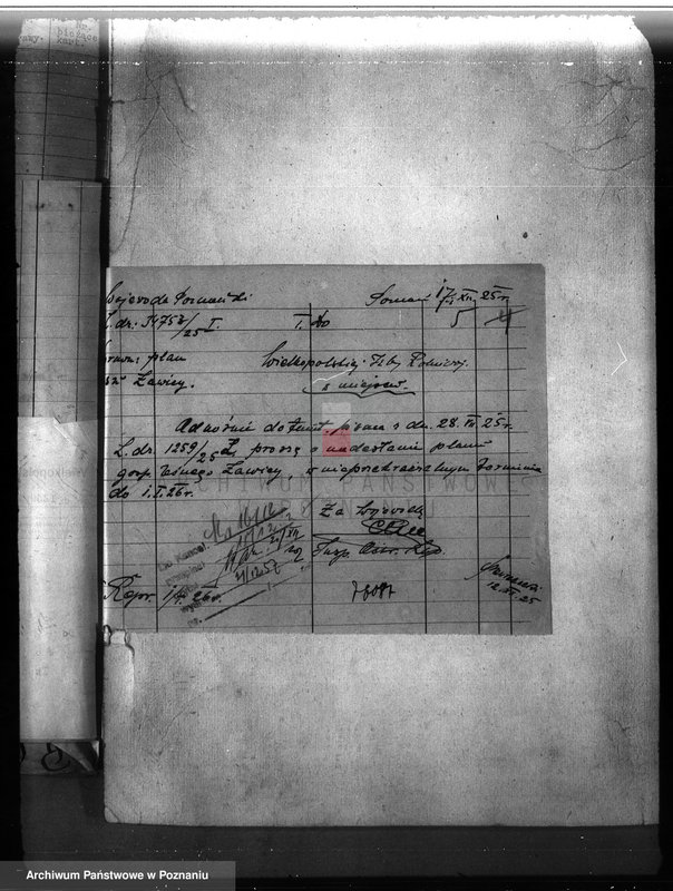 Obraz 9 z jednostki "Majętność leśna Ławica w powiecie międzychodzkim /nadzór nad gospodarką leśną/"