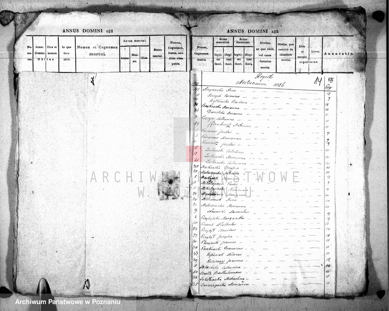 Obraz 15 z jednostki "Duplikat baptisatorum, copulatorum u. mortuorum"