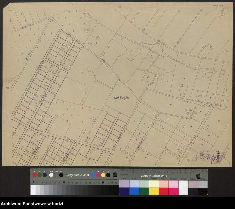Obraz 1 z jednostki "Plan m. Łodzi 1:2000, odbitka. Sekcja NW77"