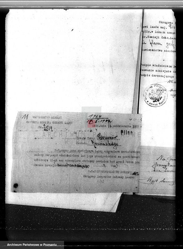 Obraz 15 z jednostki "Sprawa zmiany rodzaju użytkowania w związku z parcelacją powiat 19,5 ha gruntów leśnych w majątku Piorunów powiat koniński"