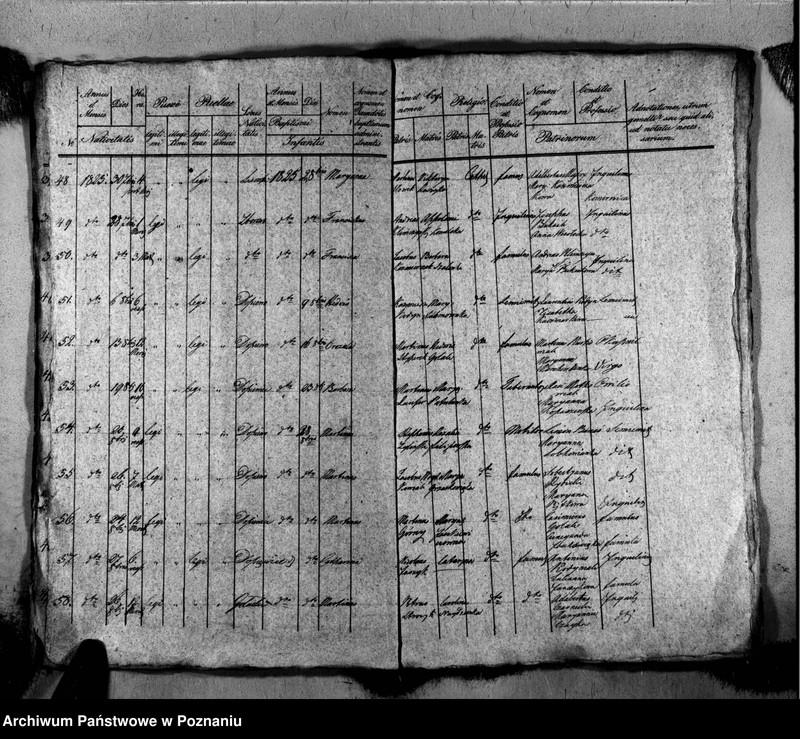 Obraz 8 z jednostki "Liber baptisatorum, copulatorum, mortuorum"