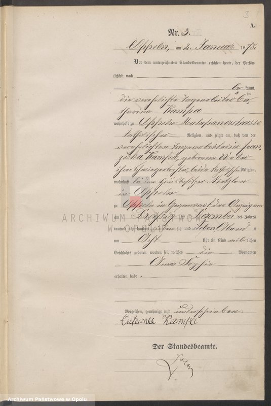 Obraz 7 z jednostki "Urząd Stanu Cywilnego w Opolu 1878 Rejestr Urodzeń Księga Miejscowa Nr 1 do 487"