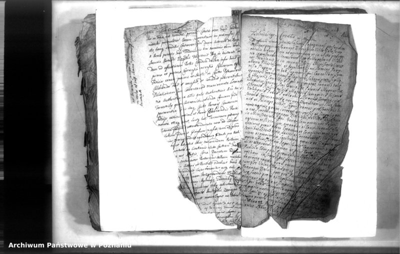 Obraz 4 z jednostki "Relationes [protocollon]"