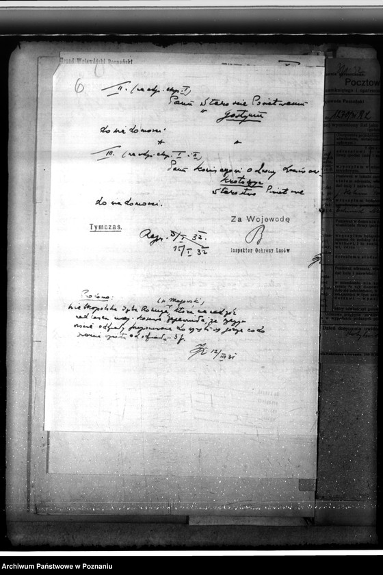 Obraz 10 z jednostki "Nadzór nad gospodarką w lasach majątku Kosowo w powiecie gostyńskim"