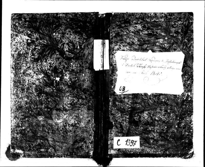 image.from.unit.number "Księga Duplikat Urodzonych, Zaślubionych i Zeszłych Parafii Kopciowskiey służyć mająca na Rok 1845"