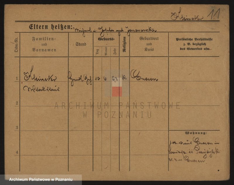 Obraz 11 z jednostki "Klajneder (Klein..) - Klapwyk"