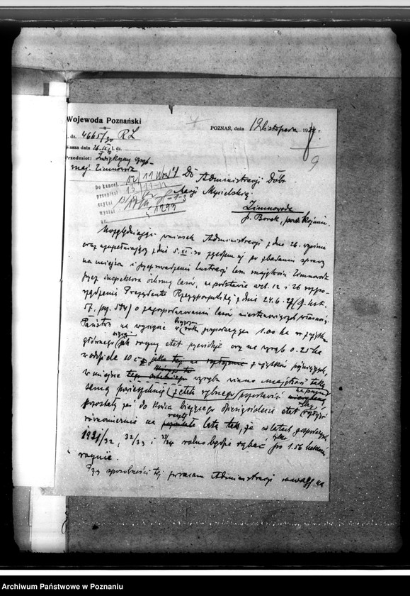 Obraz 13 z jednostki "Majętność leśna Zimnawoda w powiecie gostyńskim"