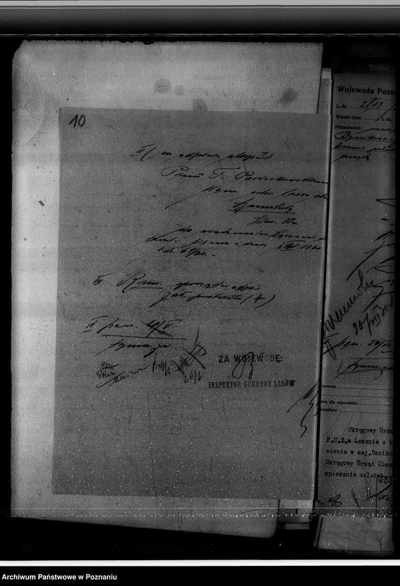 Obraz 14 z jednostki "Majętność leśna Bonikowo powiat kościański"