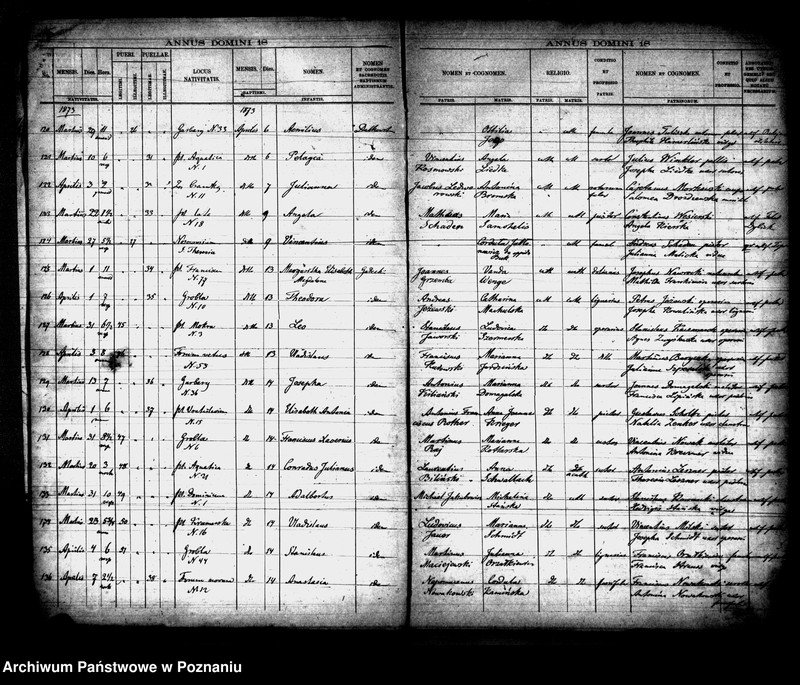 Obraz 9 z jednostki "Księga urodzin"