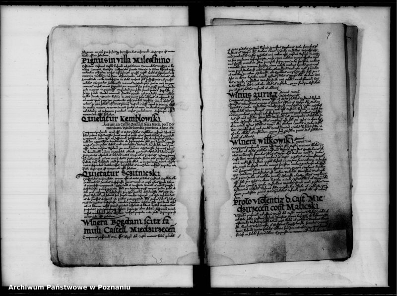 Obraz 10 z jednostki "Inscriptiones, relationes [inducta]"