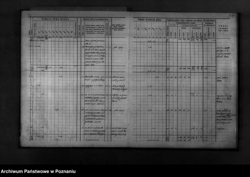 Obraz 19 z jednostki "Program urządzenia gospodarstwa leśnego dla lasu majętności Wronczyn-Pomarzanowice powiat poznański 1936-1946"