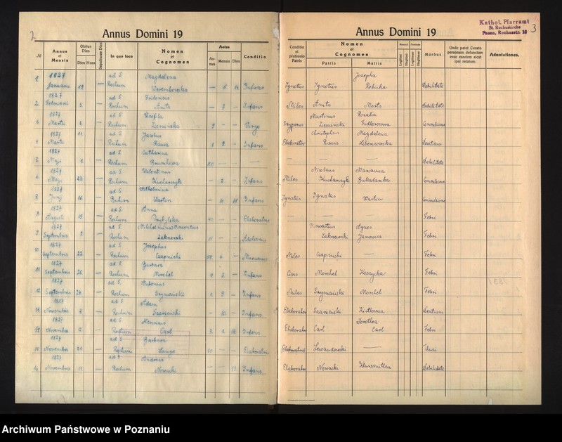Obraz 4 z jednostki "Duplikat mortuorum"