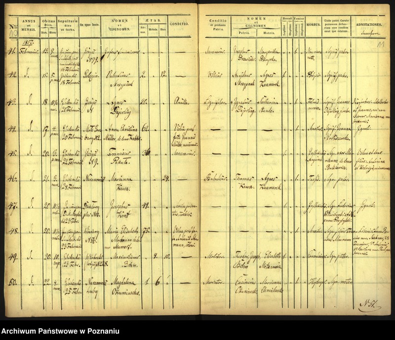 Obraz 8 z jednostki "Księga zgonów"