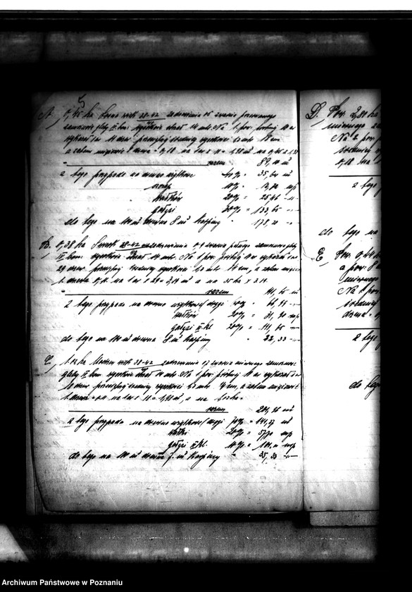 Obraz 9 z jednostki "Parcelacja lasu Witobel 113 powiatu poznańskiego Teofil Bartkowiak"