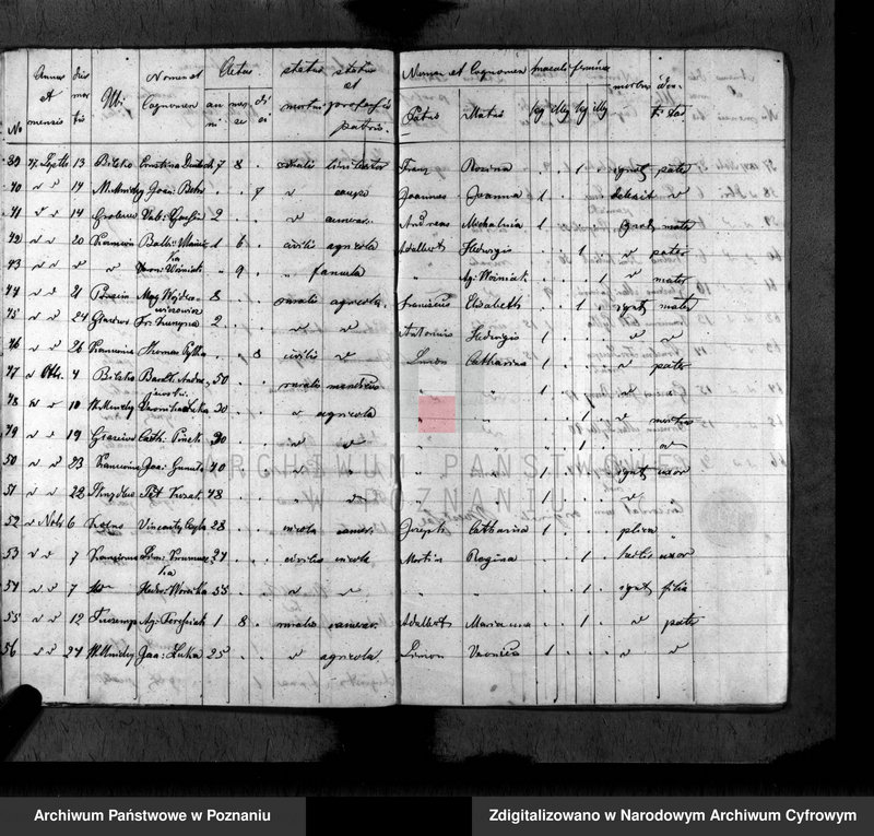 Obraz 13 z jednostki "Duplikat baptisatorum, copulatorum, mortuorum"