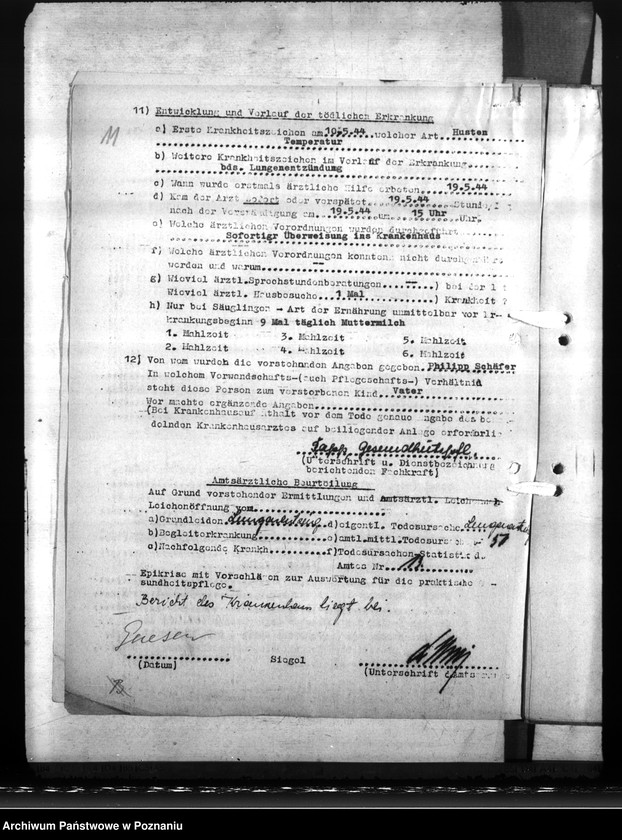 Obraz 16 z jednostki "Ermittelung der Säuglings - Sterbefälle"