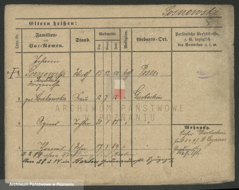 Obraz 12 z jednostki "Sosnowski - Sparr"