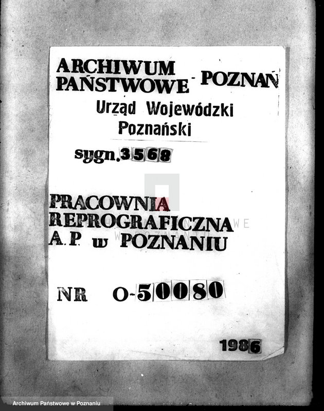 Obraz 1 z jednostki "Kościół katolicki Biezdrowo Łężeczki powiat międzychodzki /nadzór nad gospodarką leśną/"