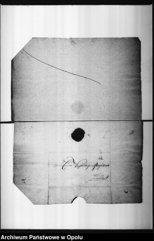 Obraz 16 z jednostki "Acta in Sachen der Fischer bey Oppeln wegen practendirten ausschliessenden Handels mit Fischen, hier in der Stadt Oppeln so wie die Auflösung des ganzen Fischermittels betreffend"