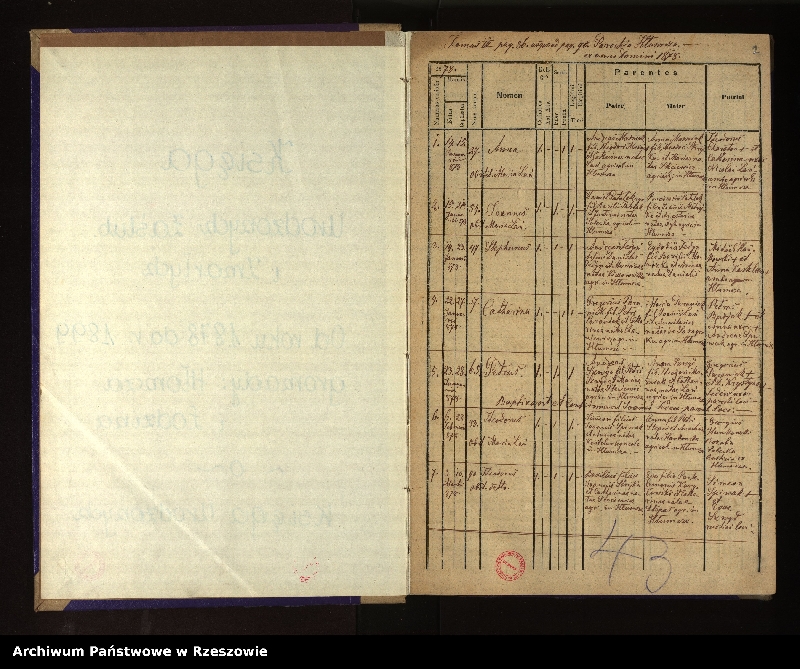 Obraz 5 z jednostki "Księga urodzeń, małżeństw i zgonów dla miejscowości Hłomcza, Łodzina, Mrzygłód"