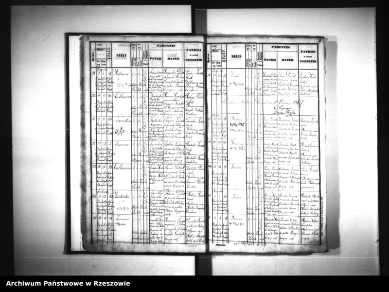 image.from.unit.number "Księga urodzeń - Siedliska"