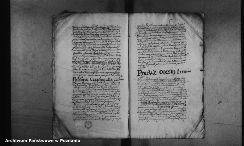 Obraz 8 z jednostki "Decreta officii [inducta]"