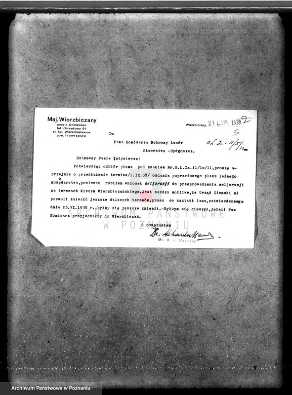 Obraz 7 z jednostki "Majątek Wierzbiczany w powiecie inowrocławskim /nadzór nad gospodarką leśną"