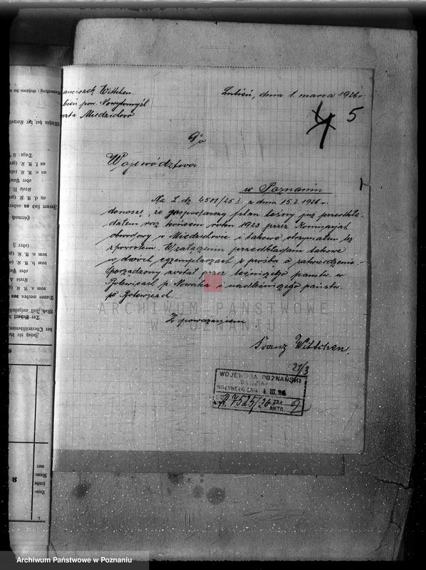 Obraz 9 z jednostki "/Nadzór nad gospodarką w lasach majątku Lubień-Helowskie w powiecie nowotomyskim"