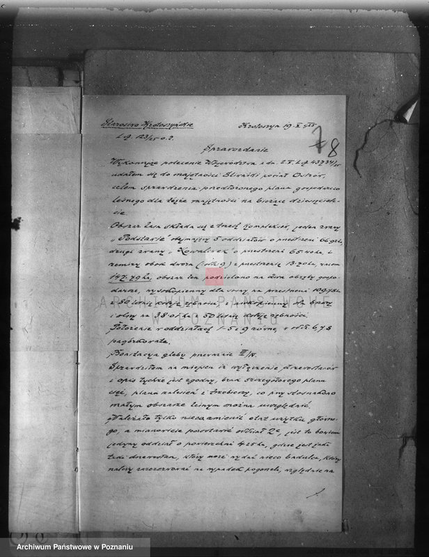 Obraz 12 z jednostki "Nadzór nad gospodarką w lasach majętności Śliwniki powiat ostrowski"