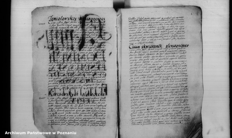 Obraz 6 z jednostki "Inscriptiones [inducta]"