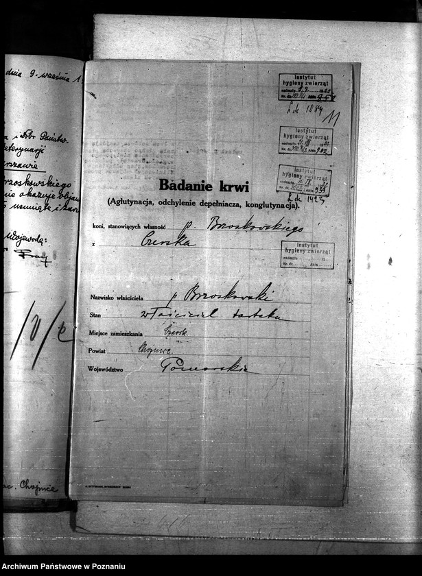 Obraz 15 z jednostki "Nosacizna - Chojnice"