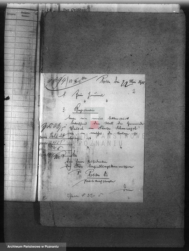 Obraz 6 z jednostki "Las gminy Olszewo powiat ostrowski"