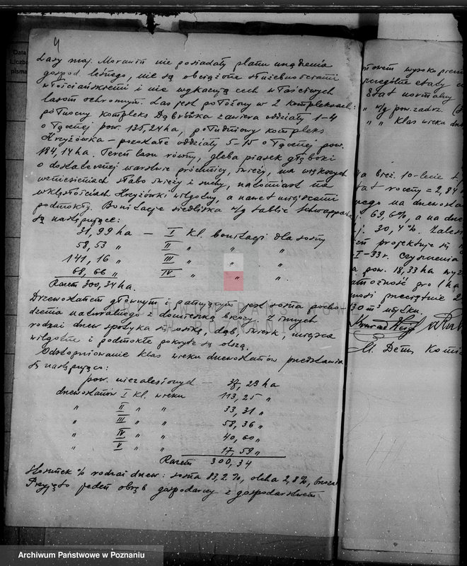 Obraz 8 z jednostki "Wyłączenie obszarów leśnych majątku Morawin powiat kaliski"