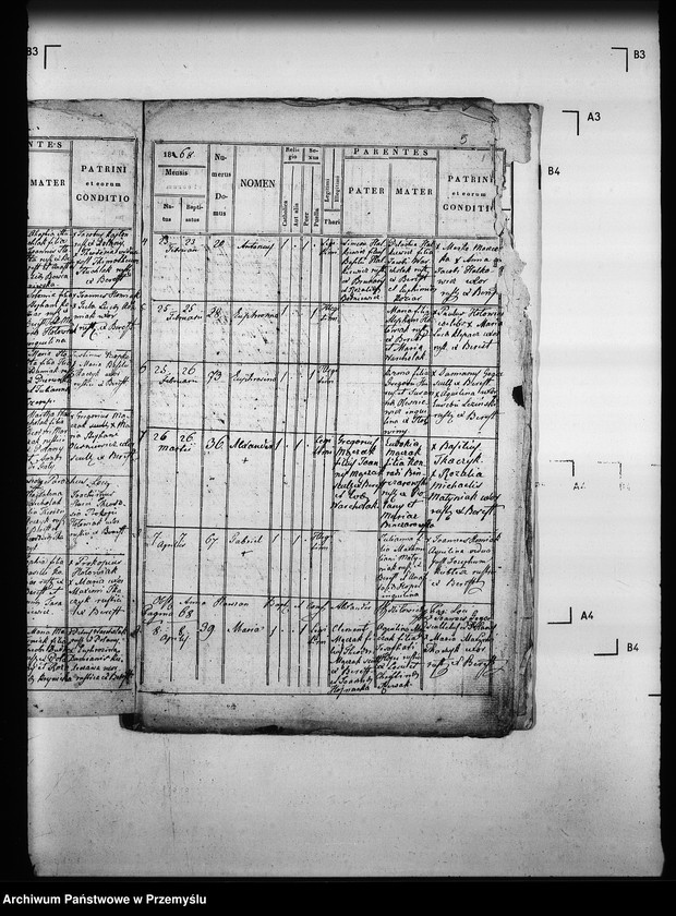 Obraz 9 z jednostki "[Kopie ksiąg metrykalnych parafii Berest z filią Polany (dekanat Grybów)]"