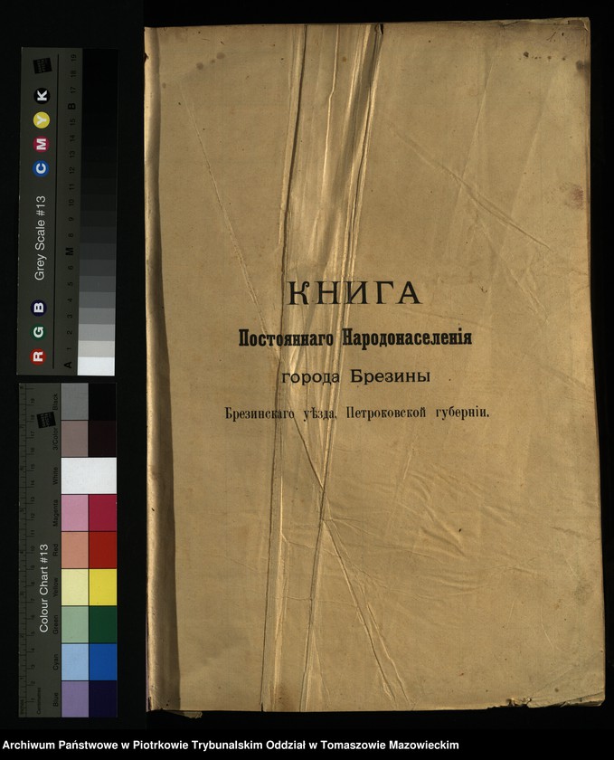 image.from.unit.number "[Księga ludności stałej miasta Brzezin tom VIII]"