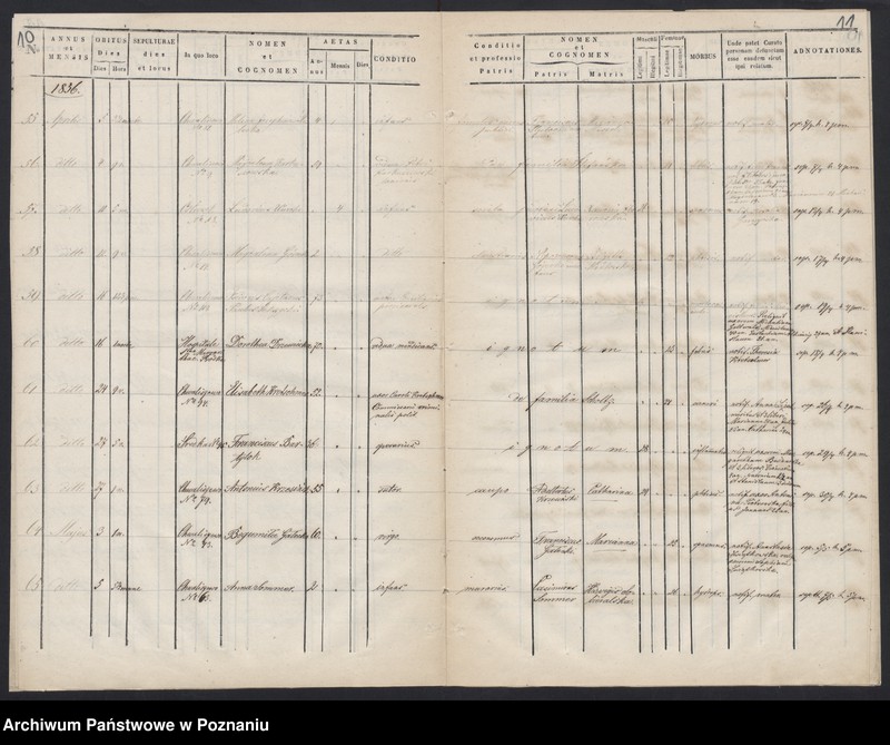 Obraz 8 z jednostki "Księga zgonów"