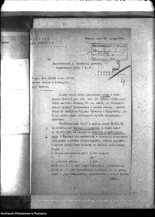 Obraz 8 z jednostki "Zaraza płucna - Rawicz"