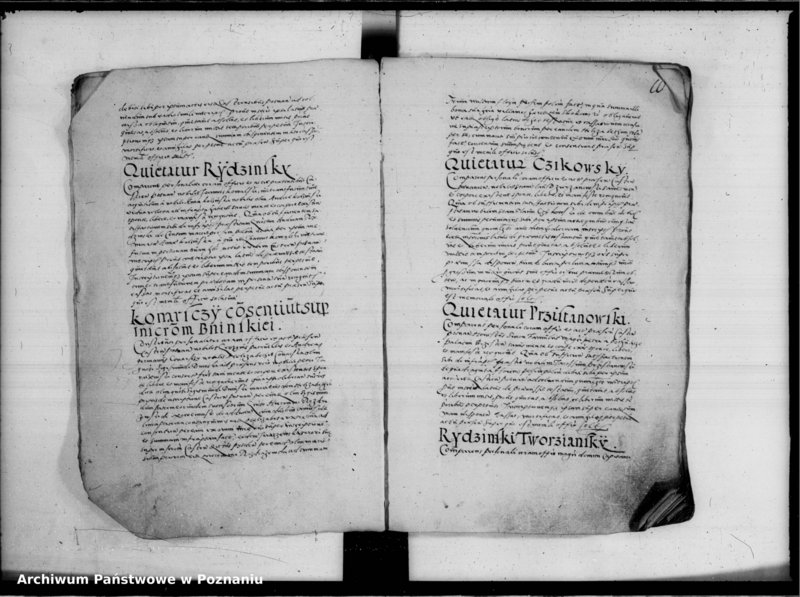 Obraz 15 z jednostki "Inscriptiones, relationes [inducta]"