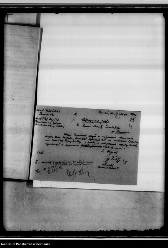 Obraz 8 z jednostki "Zjednoczenie Inwalidów Wojny Światowej"