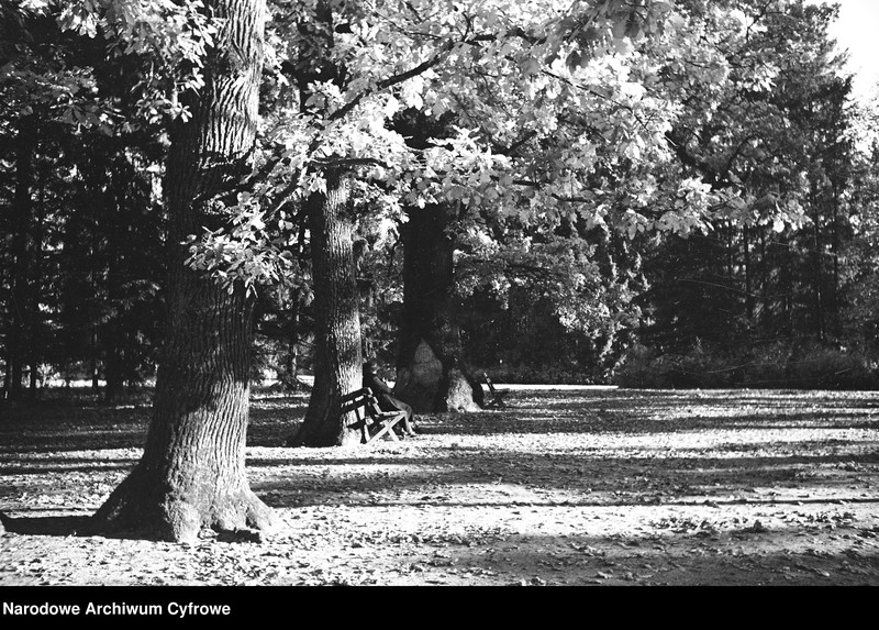 image.from.object.part1 image.from.object.part2