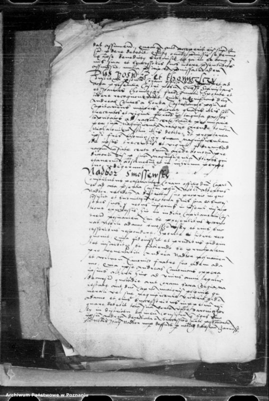 Obraz 8 z jednostki "Inscriptiones, relationes, decreta [inducta]"