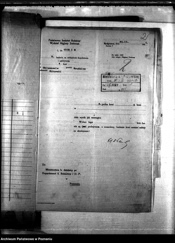 Obraz 6 z jednostki "Nosacizna - Brodnica"