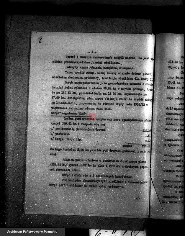 Obraz 12 z jednostki "Majętność /leśna/ Smogulecka Wieś powiat szubiński"