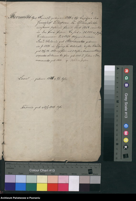 Obraz 4 z jednostki "A. betr. die Familie von Skarzewski"