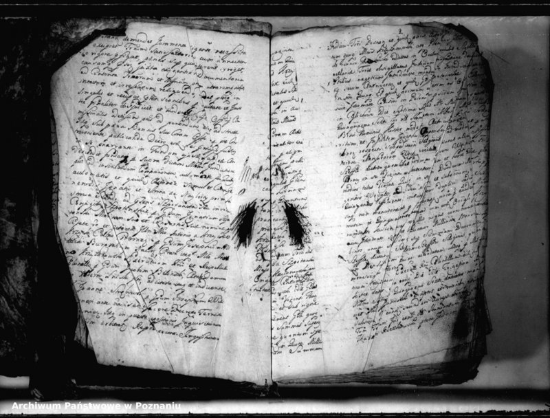 Obraz 5 z jednostki "Relationes [protocollon]"